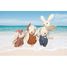 Hasenfamilie SM-SP4006 Speedy Monkey 7