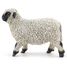 Walliser Schwarznasenschaffigur PA-51194 Papo 5