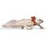 Axolotl-Figur PA-56066 Papo 5
