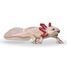 Axolotl-Figur PA-56066 Papo 1