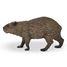Wasserschwein-Figur PA-50327 Papo 4