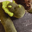 Grüner Dinosaurier-Plüschtier 40 cm HO3362 Histoire d'Ours 2