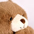 Braunbär-Plüschtier 40 cm HO3363 Histoire d'Ours 5