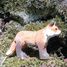 Figur Fuchs aus Holz WU-40701 Wudimals 3