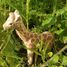 Figur Giraffe aus Holz WU-40454 Wudimals 4