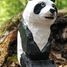 Figur Panda aus Holz WU-40705 Wudimals 4