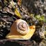 Figur Schnecke aus Holz WU-40715 Wudimals 3