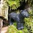 Figur Panther aus Holz WU-40470 Wudimals 2