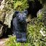 Figur Panther aus Holz WU-40470 Wudimals 3