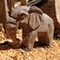 Figur Elefantenkalb aus Holz WU-40465 Wudimals 5