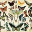 Schmetterlinge nach Millot K1227-100 Puzzle Michele Wilson 2