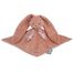 Schmusetuch hase terracotta Lapinoo 30 cm K972208 Kaloo 1