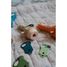Kidyslide Taschenlampe für Kindergeschichten - Geschichte KW-KIDYSLIDE-HI Kidywolf 6