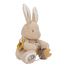 Kaninchen-Aktivitäts-Plüschtier LD8430 Little Dutch 2