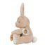 Kaninchen-Aktivitäts-Plüschtier LD8430 Little Dutch 6