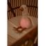 Kuschel-Gans Licht und Ton LD8440 Little Dutch 9