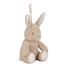 Kuschel-Hase Licht und Ton LD8441 Little Dutch 8