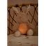 Kuschel-Hase Licht und Ton LD8441 Little Dutch 3