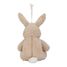 Kuschel-Hase Licht und Ton LD8441 Little Dutch 5