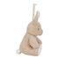 Kuschel-Hase Licht und Ton LD8441 Little Dutch 7