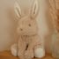 Kuscheltier Hase Baby Bunny 15 cm LD8450 Little Dutch 2