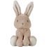 Geschenkbox Baby Bunny LD8859 Little Dutch 3