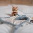 Kuscheltuch Fuchs Forest Friends LD8927 Little Dutch 4