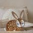 Kaninchen-Nachtlampe Schokolade LL008-467 Little Lights 7