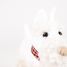 Lola der Plüschhund 17 cm EG130617 Egmont Toys 3