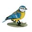 3D Papiermodell - Blaumeise FR-11764 Fridolin 2