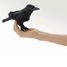Fingerpuppe Rabe FO-2698 Folkmanis 2
