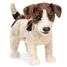 Handpuppe Jack Russell Terrier FO-2848 Folkmanis 1