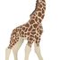 Giraffenfigur PA-50100 Papo 6