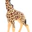 Giraffenfigur PA-50100 Papo 4