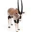 Oryx-Antilope Figur PA50139-4529 Papo 5