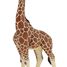 Männliche Giraffenfigur PA50149-3612 Papo 5