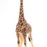 Männliche Giraffenfigur PA50149-3612 Papo 3