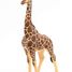 Männliche Giraffenfigur PA50149-3612 Papo 2