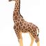 Männliche Giraffenfigur PA50149-3612 Papo 1