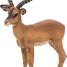 Impala-Figur PA50186 Papo 8