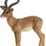 Impala-Figur PA50186 Papo 6