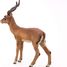 Impala-Figur PA50186 Papo 5