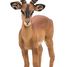 Impala-Figur PA50186 Papo 2