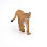 Puma-Figur PA50189 Papo 5