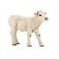 Charolais-Kalbfigur PA51157-3619 Papo 1