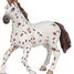 Appaloosa-Stutenfigur PA51509-2918 Papo 7