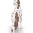 Appaloosa-Stutenfigur PA51509-2918 Papo 5