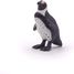 Kap-Pinguin-Figur PA56017 Papo 5