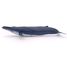 Blauwal PA56037 Papo 4