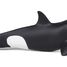 Baby-Orca-Figur PA56040 Papo 2